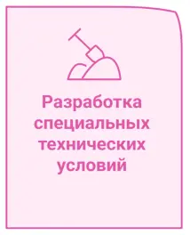 Разработка специальных технических условий Разработка специальных технических условий